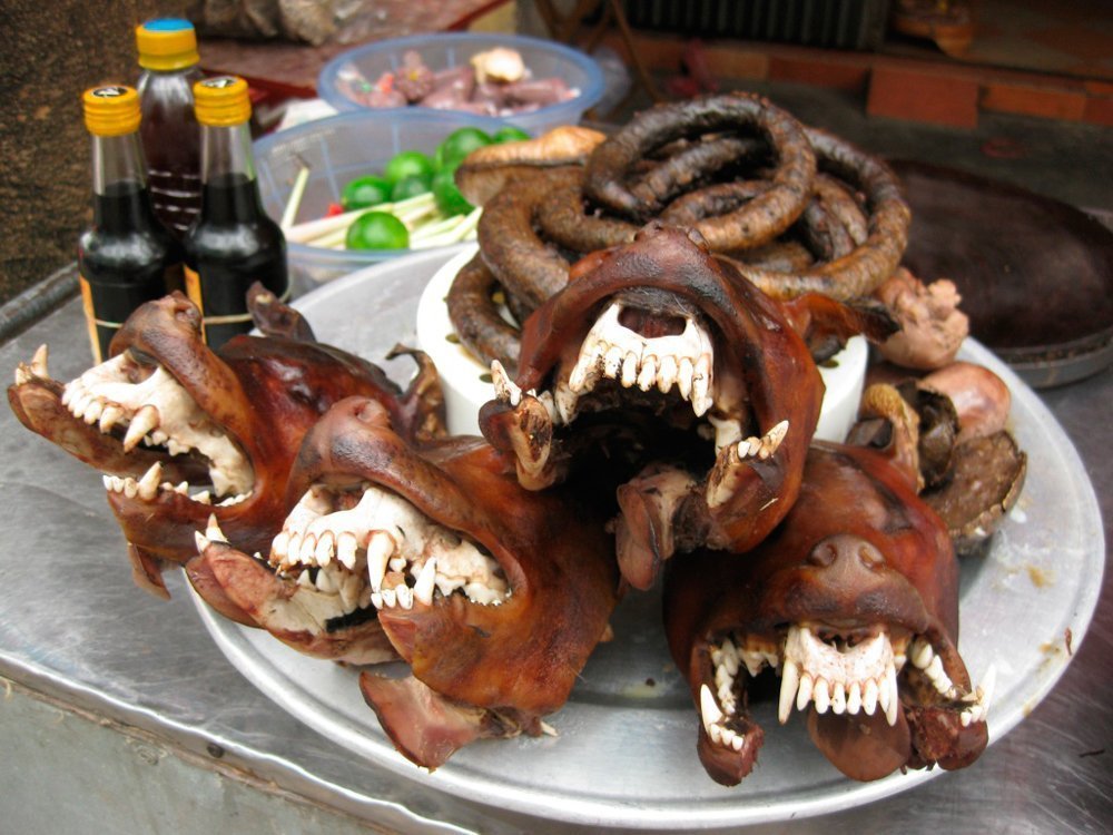 Собачье мясо, Вьетнам, Китай, Камбоджи Источник: two-hitchhikers.ru