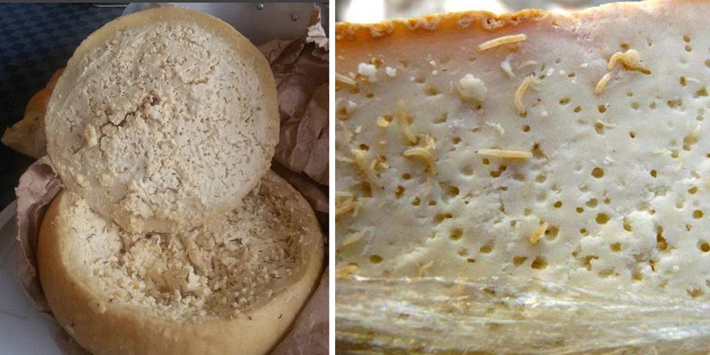 Сыр с личинками Касу Марзу, Сардиния Источник: 3dposts.ru