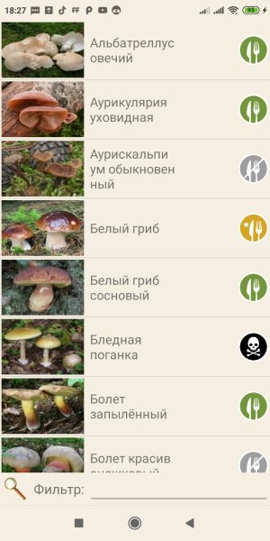 Осенние грибы: когда пойдут, где собирать, приложения для грибников