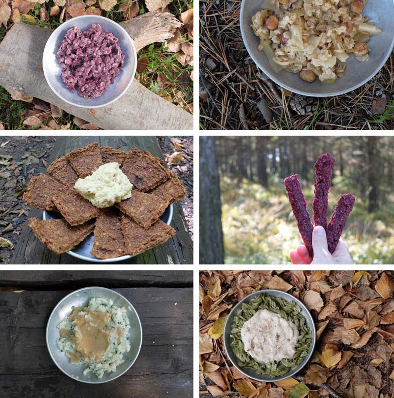 dehydrator backpacking recipes