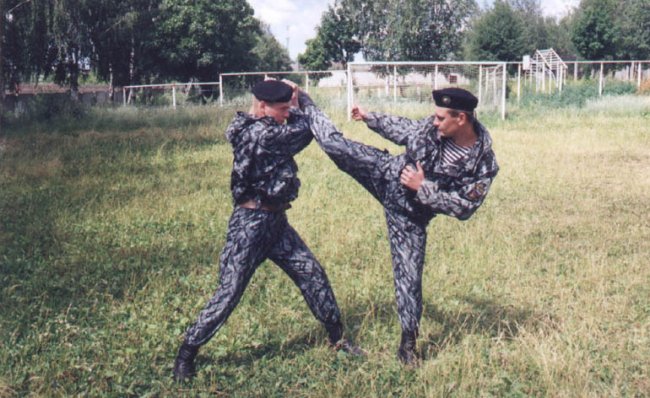 армейский рукопашный бой