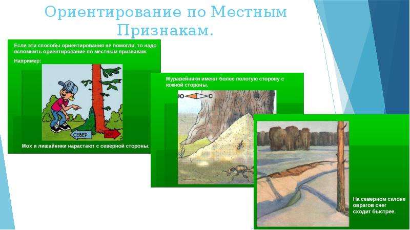 Ориентирование на местности по местным признакам презентация