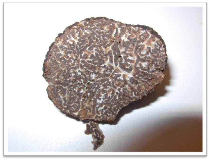 Interior of black truffle.