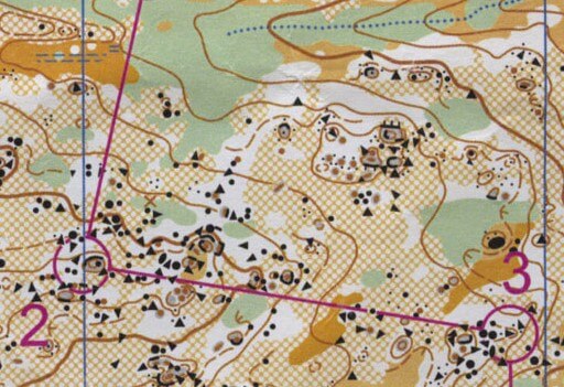 Orienteering Map Legend