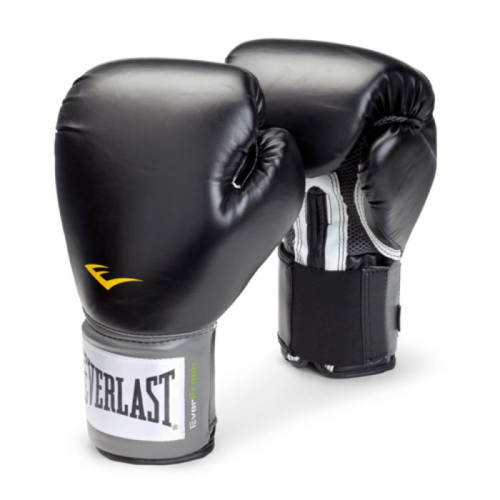 everlast boxing gloves image