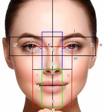 golden ratio superimposed on a face