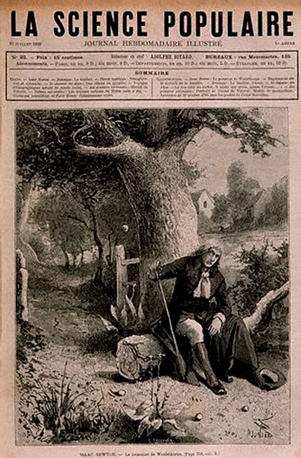 Иллюстрация к самому распространенному мифу о Ньютоне: будто бы он открыл закон всемирного тяготения, увидев, как падают яблоки 