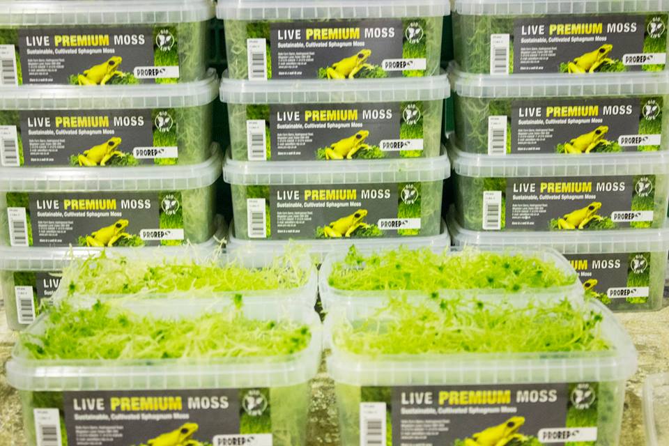 Заготовка в промышленных масштабах