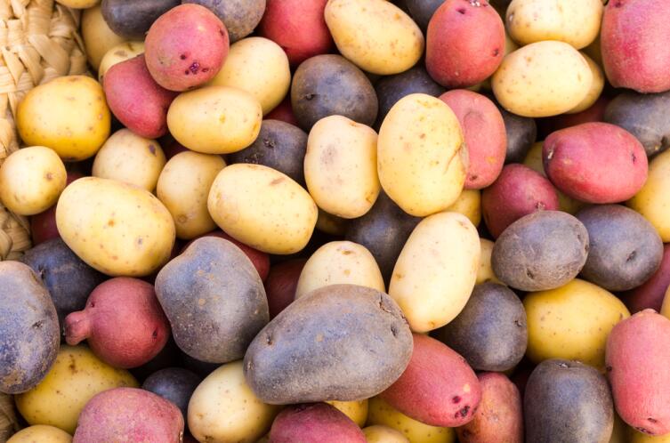 Какой картофель едят в Перу?