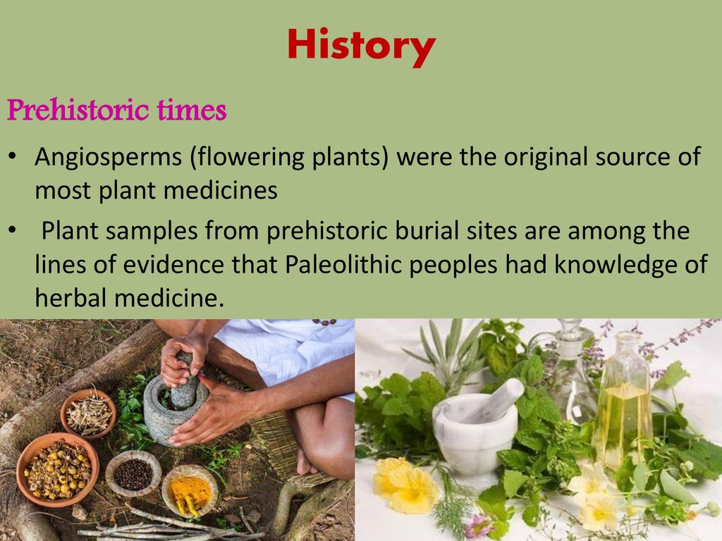 History Prehistoric times