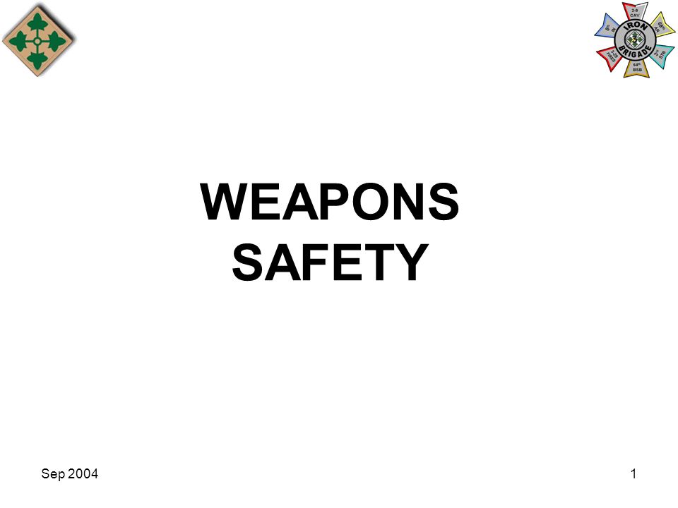 WEAPONS SAFETY