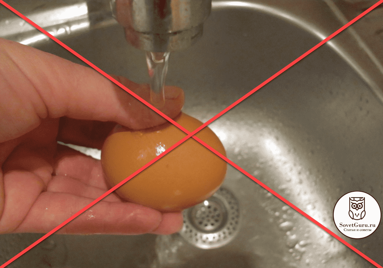Как правильно хранить яйца 