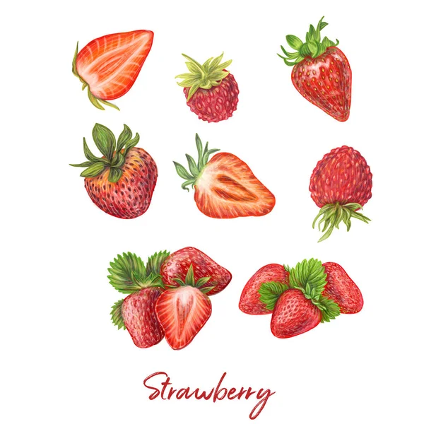 Векторная иллюстрация свежих ягод Лицензионные Стоковые Иллюстрации