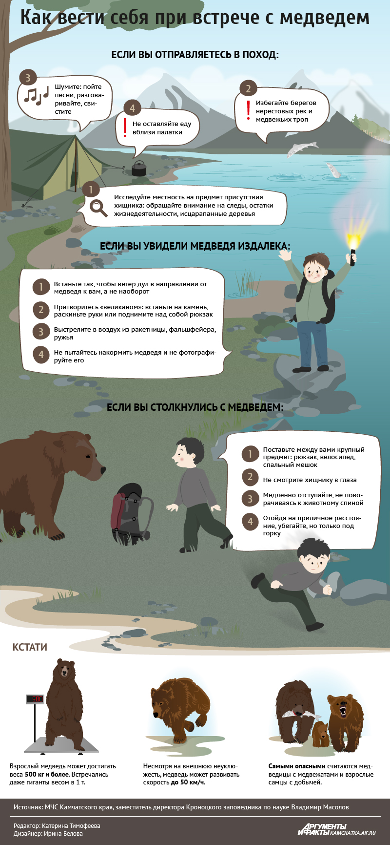 Инфографика «Как вести себя при встрече с медведем»