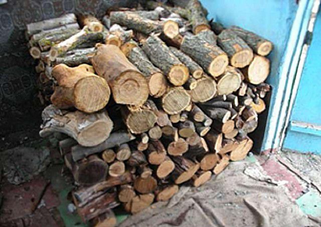 Применять древесину тополя или ивы для бани можно лишь тогда, когда нет никакого иного выбора