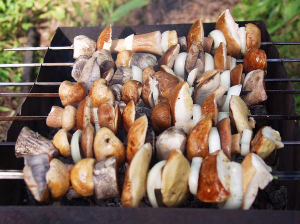 Белые грибы на костре: как приготовить, рецепты шашлыка с фото