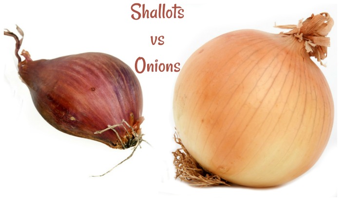 Red shallot and yellow onion