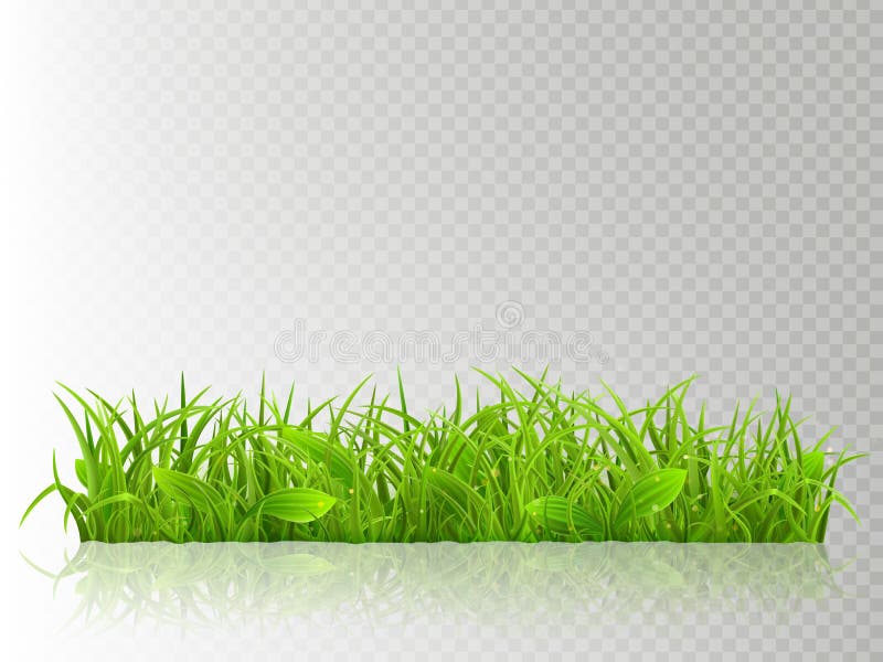 Beautiful realistic detailed fresh green grass, isolated on transparent background. Spring or summer object ready to use stock illustration
