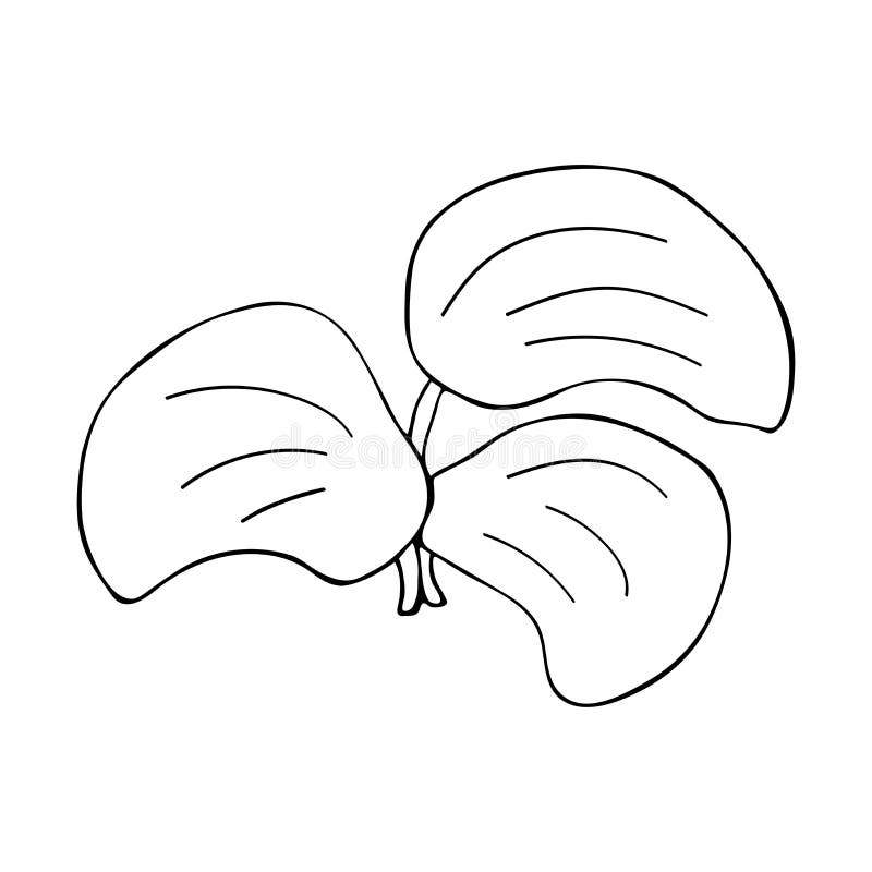 Burdock leaves. Spring summer plant in doodle style. Spring summer plant in doodle style. Simple black and white illustration stock illustration