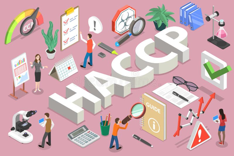 3D Isometric Vector Concept of Hazard Analysis and Critical Control Points. HACCP Step