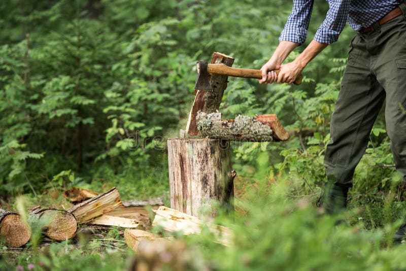 Man chopping wood in the forest. stock photography