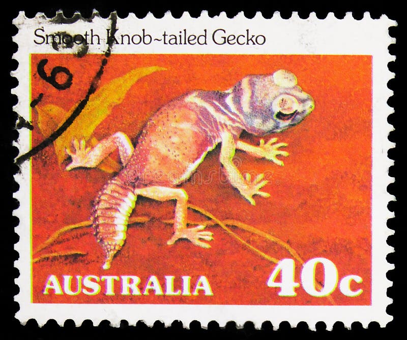 Postage stamp printed in Australia shows Smooth Knob-tailed Gecko (Nephrurus laevis), Reptiles and Amphibians serie, circa 1982. MOSCOW, RUSSIA - SEPTEMBER 27 royalty free stock photos