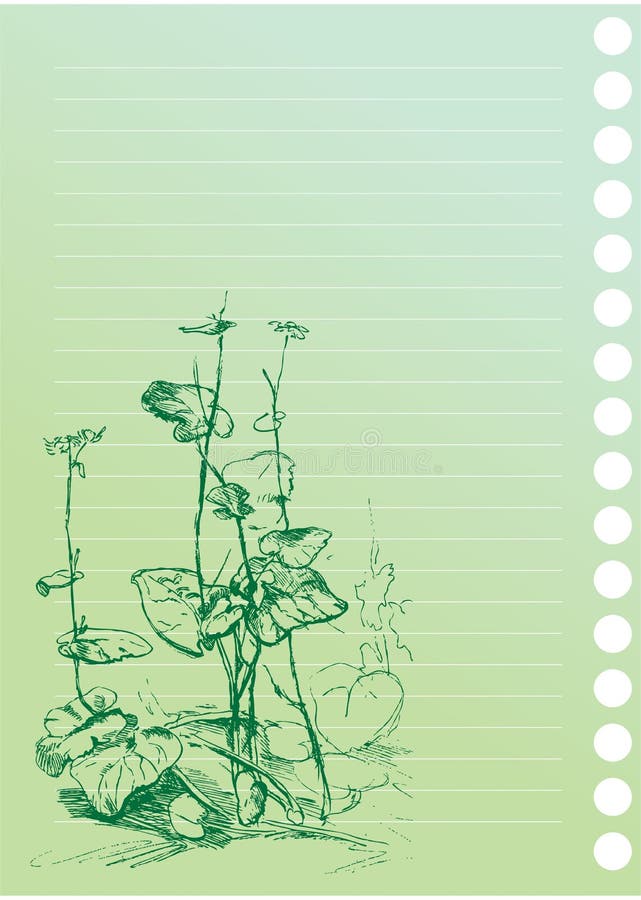 Sketch of burdock plant. In artist`s notebook vector illustration