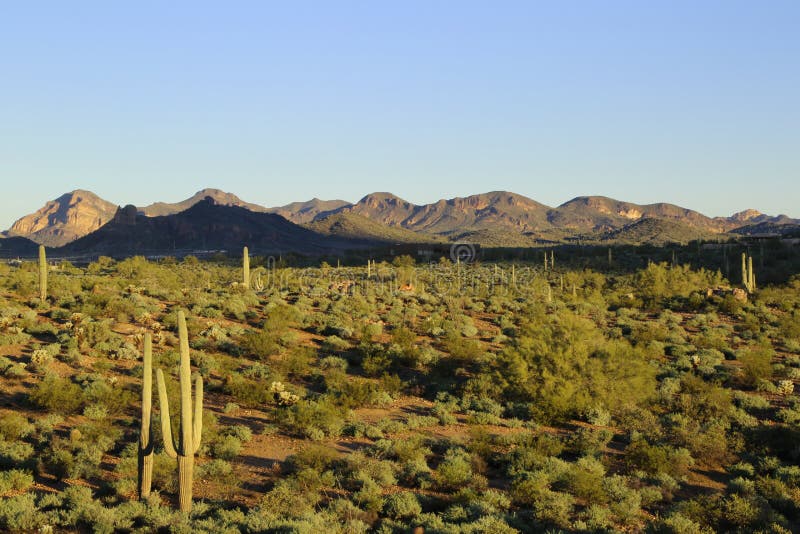 Sonoran desert. By the Superstition Mountains at sun rise royalty free stock photography