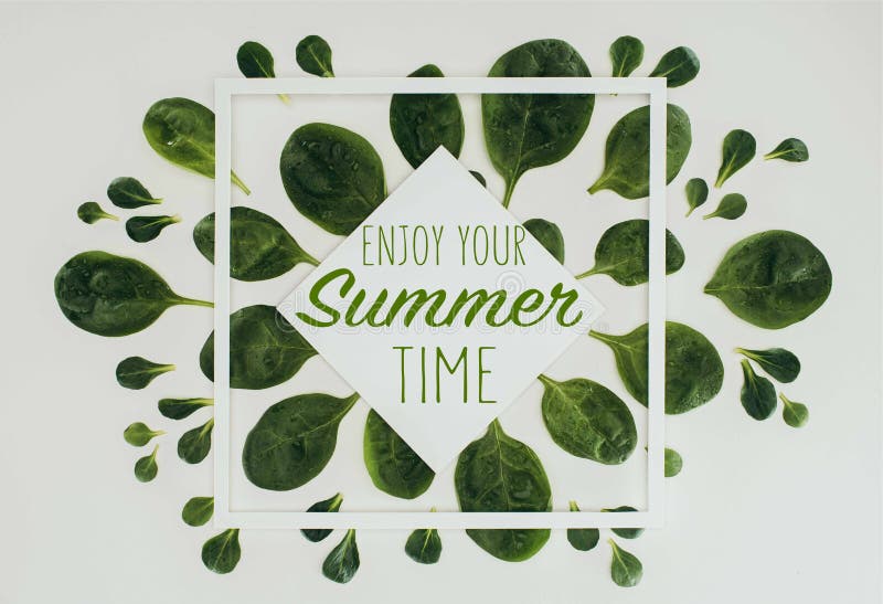 top view of beautiful fresh green leaves with words enjoy your summer time royalty free illustration