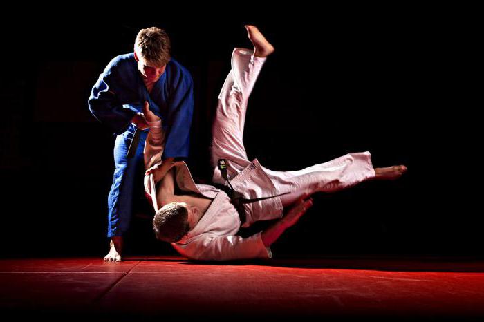the difference between Sambo and judo