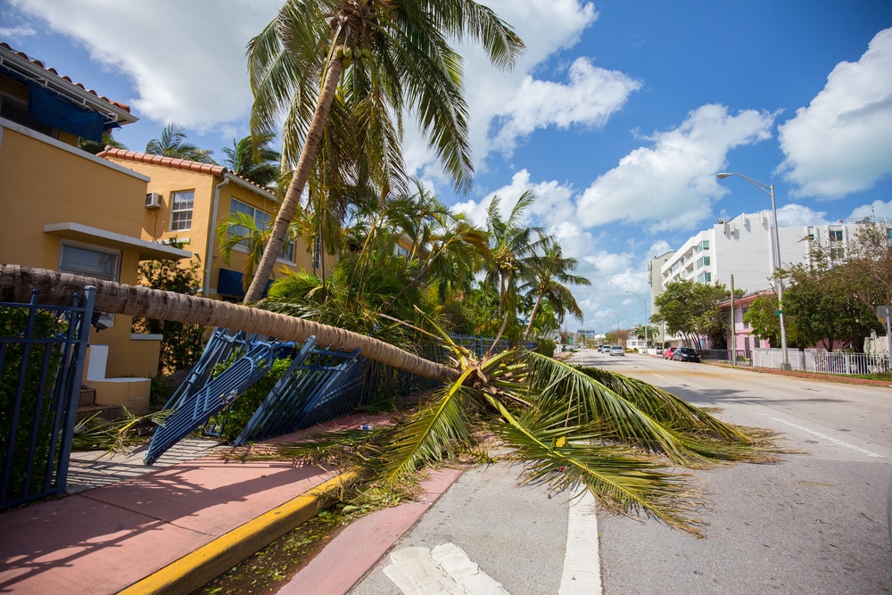 Погода: Hurricane Miami