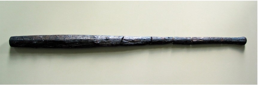 ​Деревянная дубинка Бронзового века в форме бейсбольной биты, из раскопок у Толлензе (Германия) - Первобытная война. Вооружение 