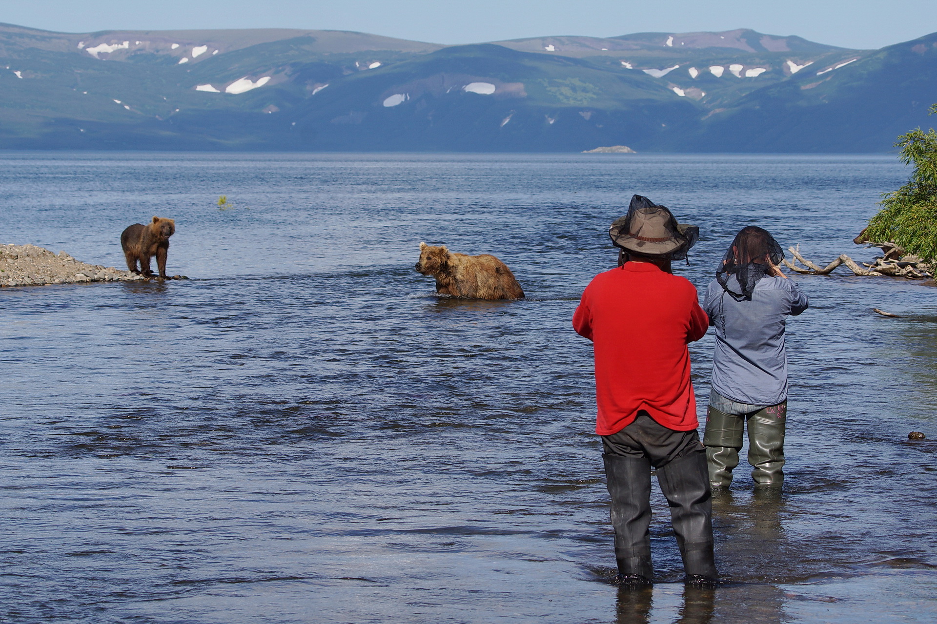 Туристы и медведи в воде озера на Камчатке