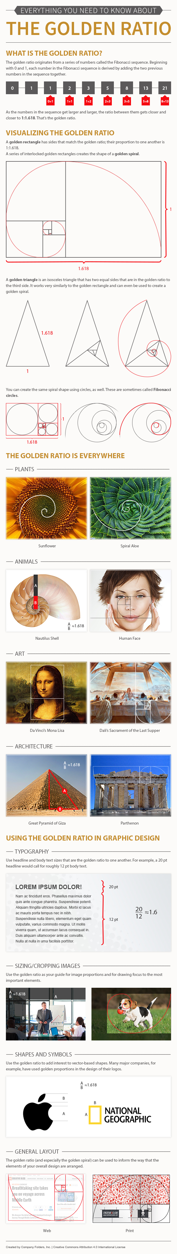 Everything You Need to Know About the Golden Ratio