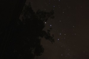 Southern Cross (also known as Crux) photographed with a 30 second exposure. Other stars are partly obscured by a tree in the foreground. Image: Flickr
