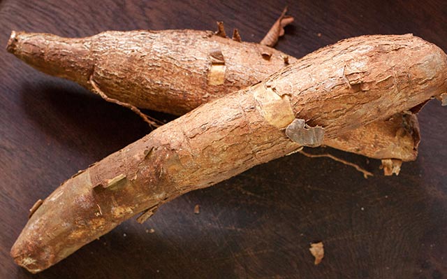 Cassava root 