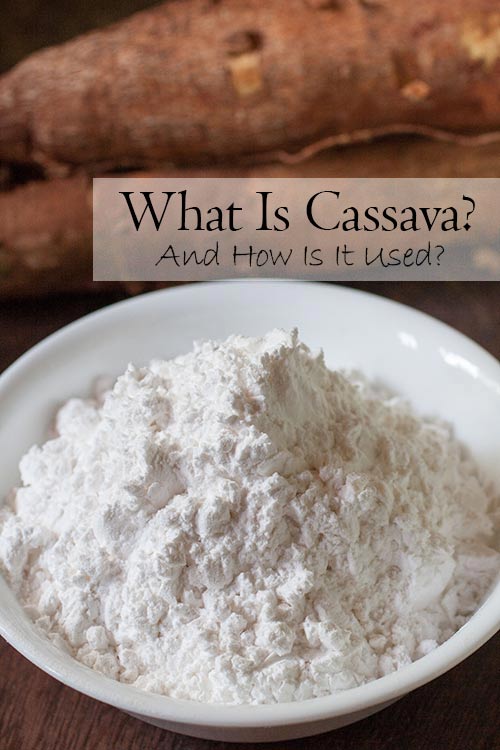 What do Brazilian cheese bread and bubble tea have in common? Cassava. Also known as manioc and yuca, this starchy root is widely used in South American baking (particularly gluten free baking) and cooking. 