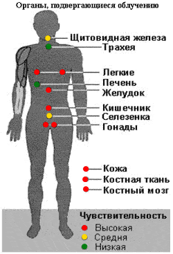 Воздействие радиации на ткани человека