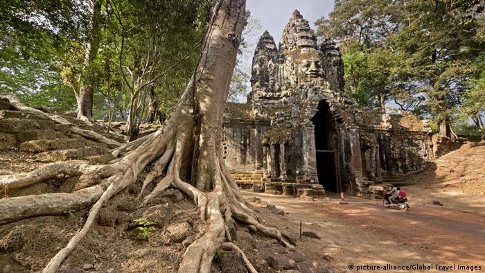 Kamboscha: Baum am Südtor zum Ta Phrom Tempel, Angkor Wat Tempel (picture-alliance/Global Travel Images)