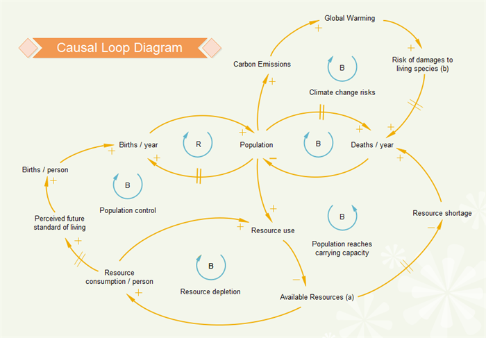 Causal Loop Diagram Template