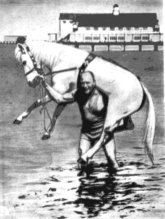 Александр Засс с лошадью