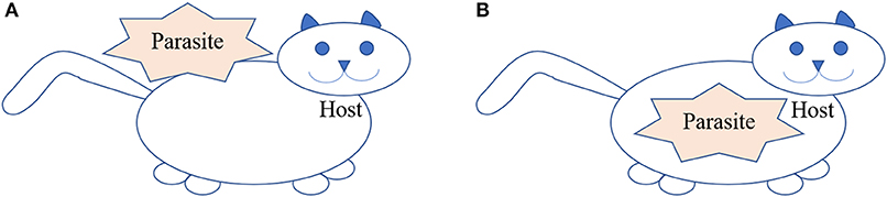 Figure 2 - Ectoparasites vs. endoparasites.