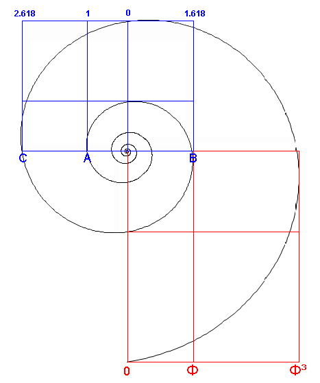 Nautilus shell showing golden ratio spiral rotation at phi squared