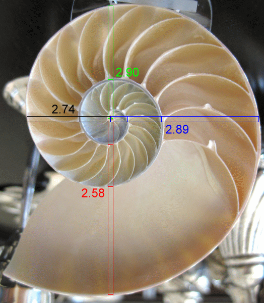 Nautilus-actual-expansion-on-4-axes