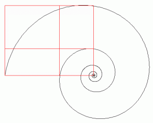 Nautilus shell showing Golden Ratio proportions