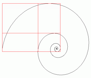 Nautilus shell showing Golden Ratio proportions