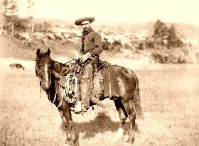 Cowboy on Horse