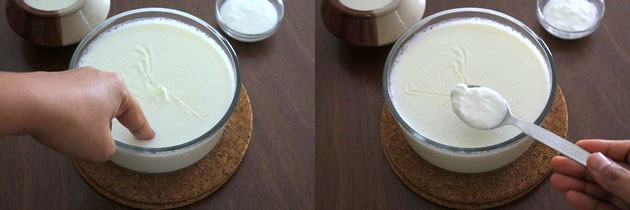 adding starter yogurt in a lukewarm milk