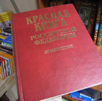 лесные животные красной книги России 