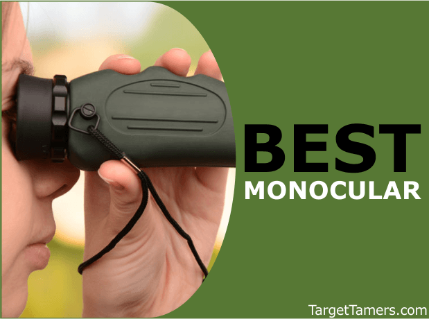 Best Monoculars for All Budgets and Activities